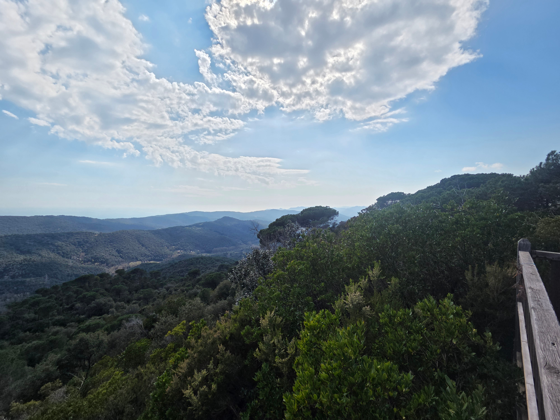 View over the wooded hills of the Baix Montseny